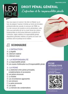 Droit Pénal Général - L'infraction Et La Responsabilité Pénale