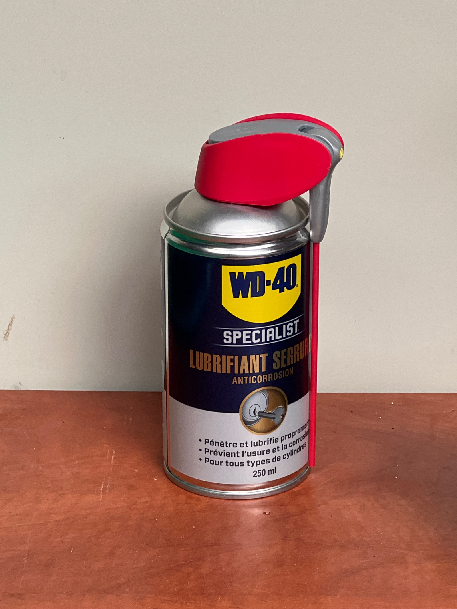 WD-40 Specialist Lubrifiant Serrures Anticorrosion 250 ml