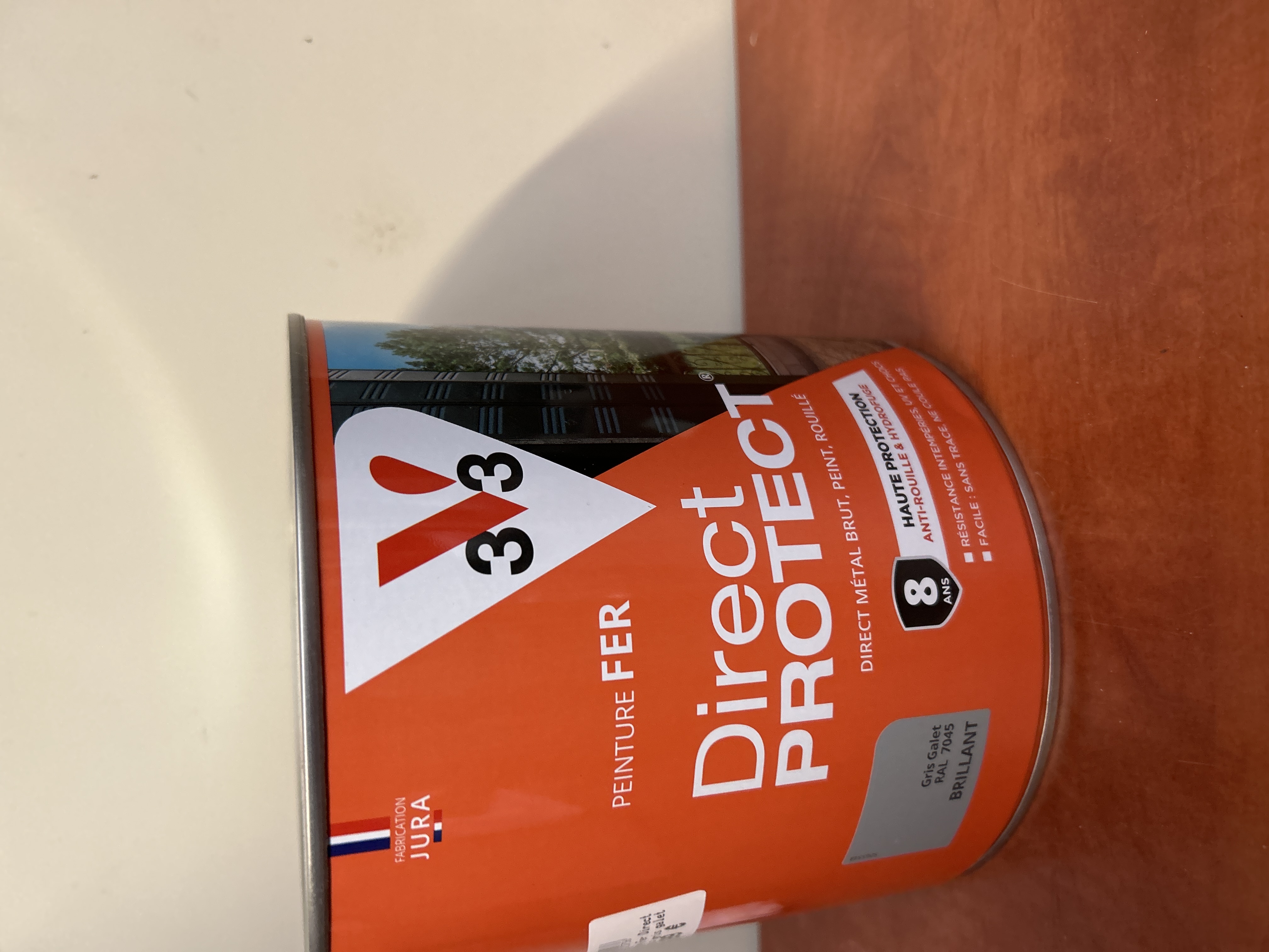 V33 Direct Protect peinture fer