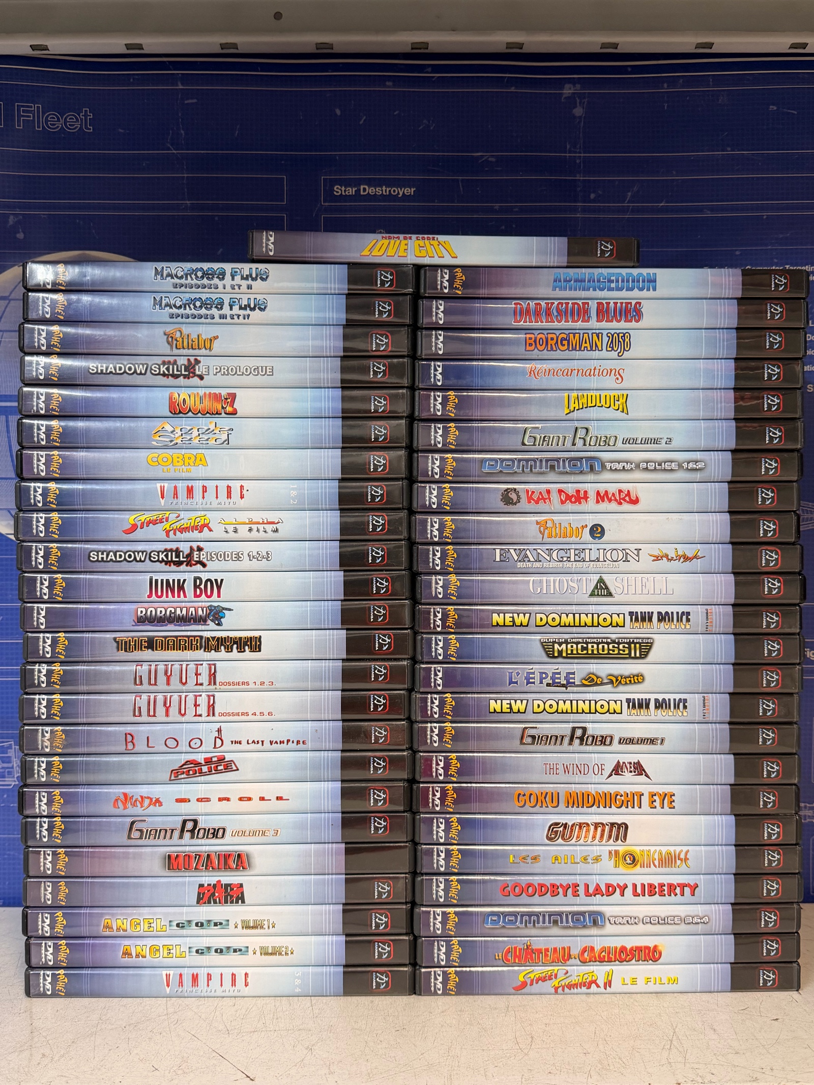 Lot de 49 DVD d’animation japonaise