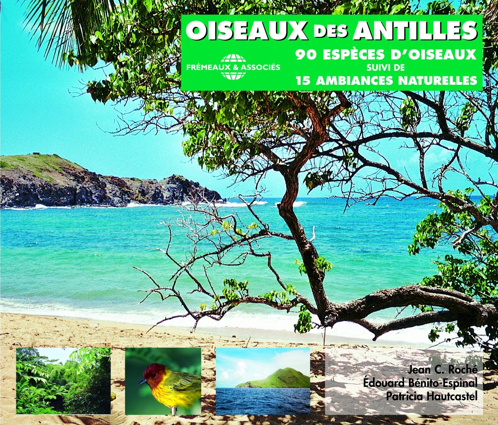 Oiseaux Des Antilles