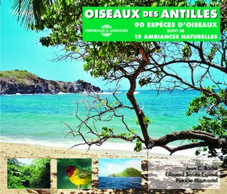 Oiseaux Des Antilles