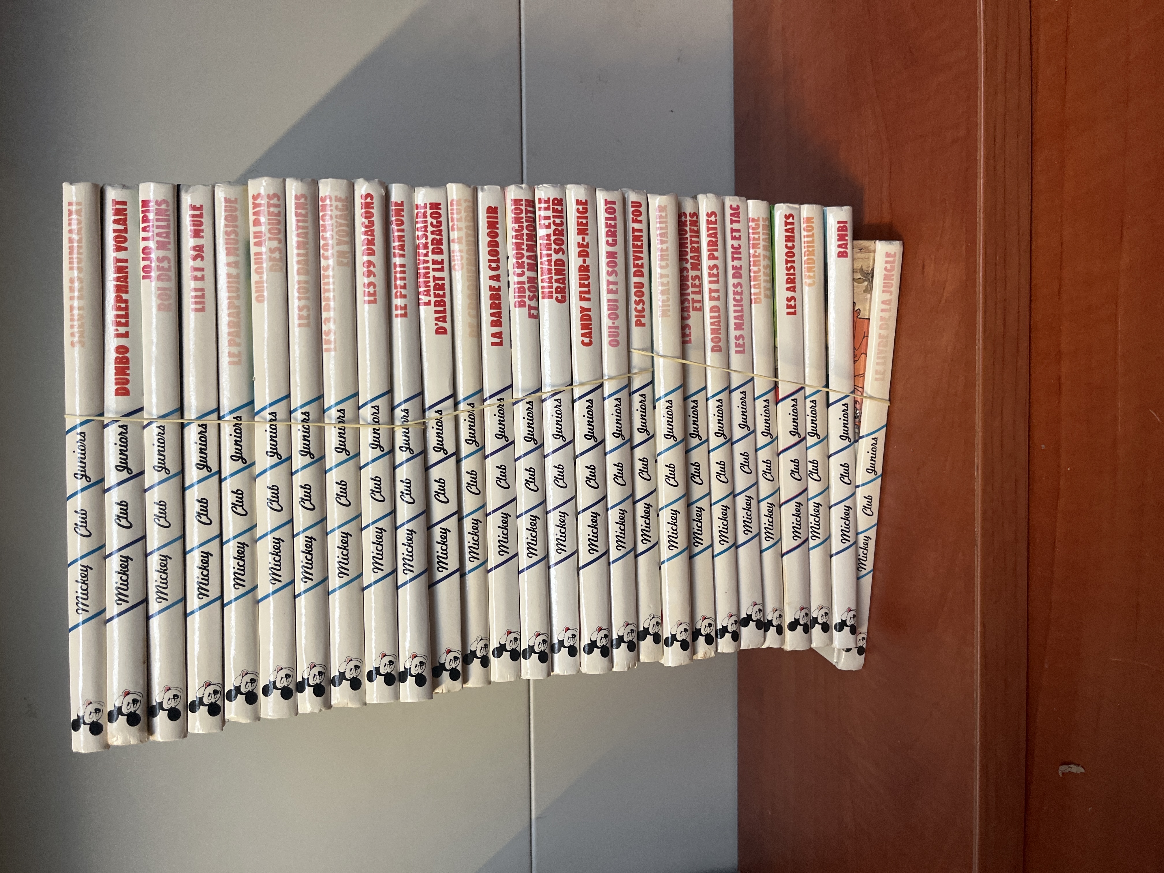 Lot de 27 livres Walt Disney – Collection Club Junior