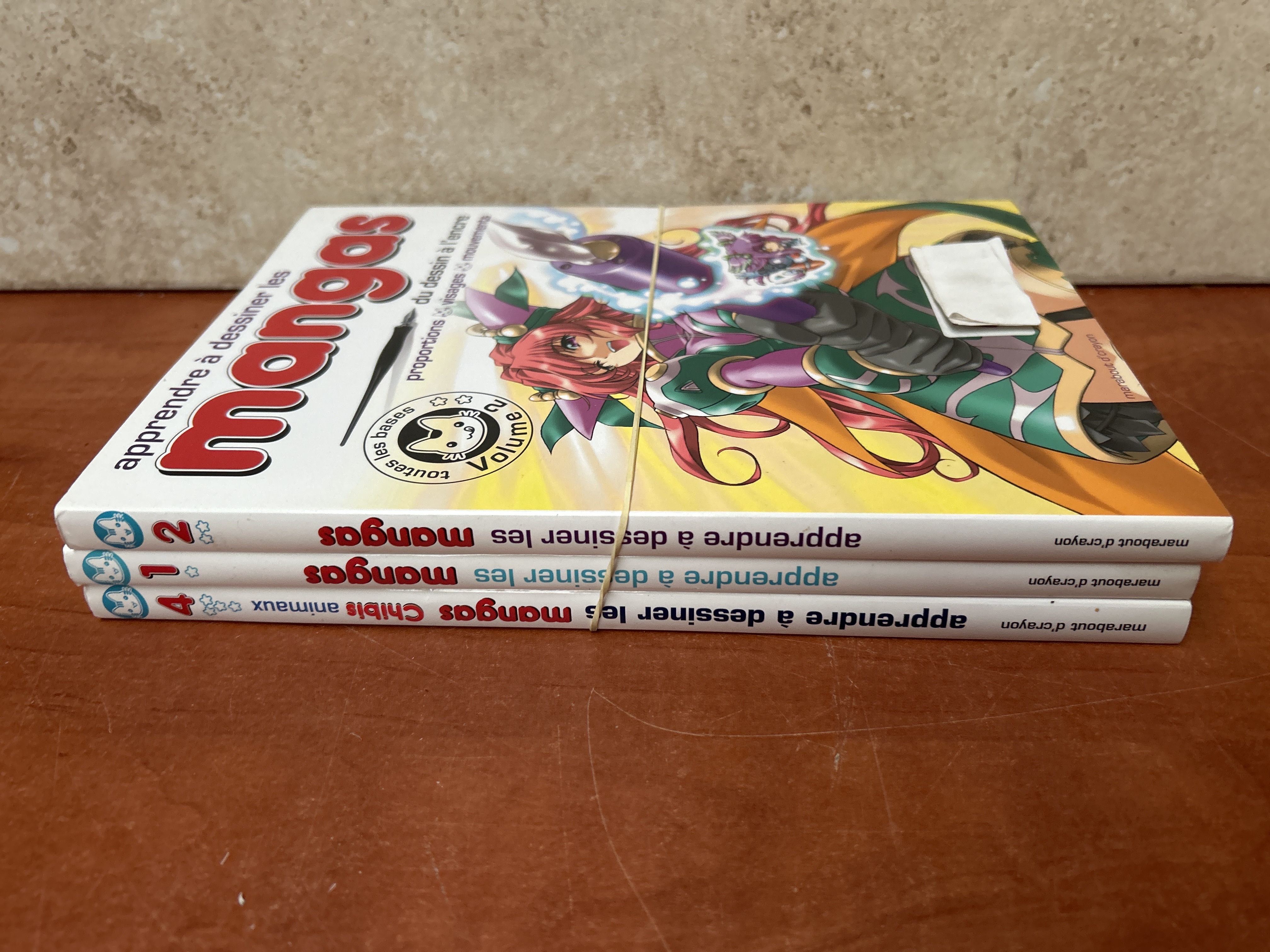 Livre Apprendre à dessiner les mangas