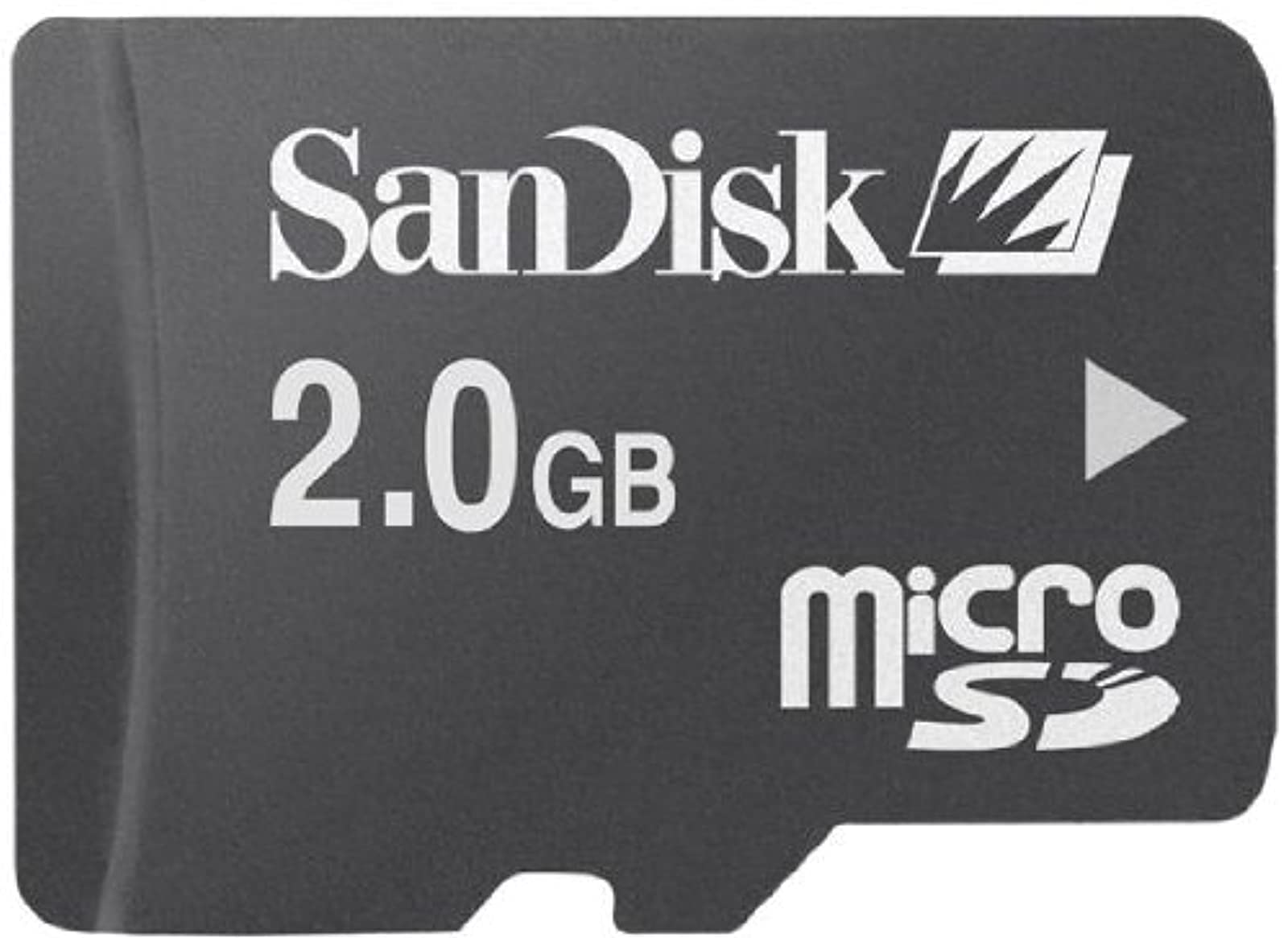 SanDisk 2 Go Carte mémoire microSD