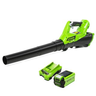 Greenworks souffleur axial électrique g40abk2 - 40 v - 1 batterie 2 ah + 1 chargeur - vert
