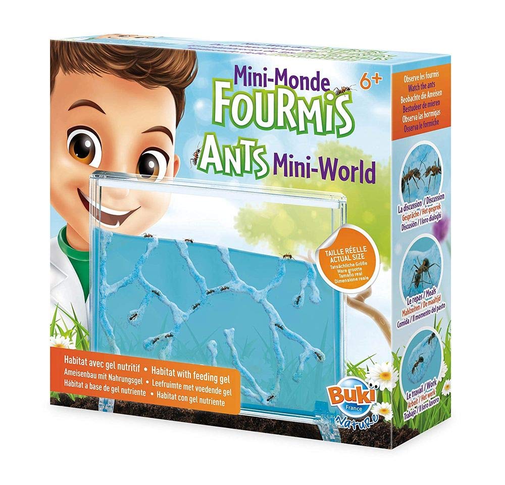 Mini Monde Des Fourmis