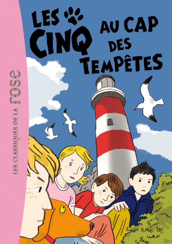 Les Cinq Au Cap Des Tempêtes