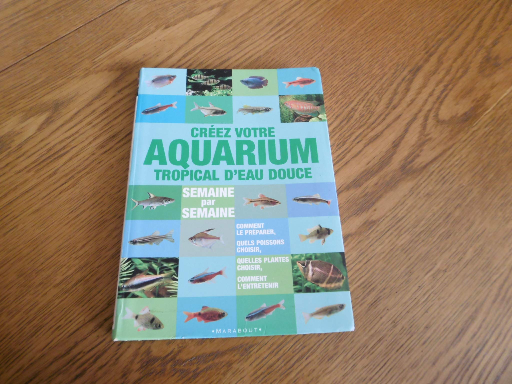 Créer Votre Aquarium Tropical D'eau Douce - Semaine Par Semaine