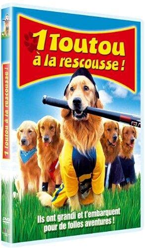 1 Toutou À La Rescousse !