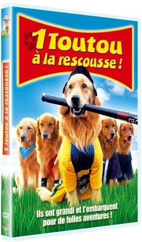 1 Toutou À La Rescousse !