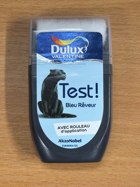Dulux Valentine Test! Bleu Rêveur avec rouleau d’application