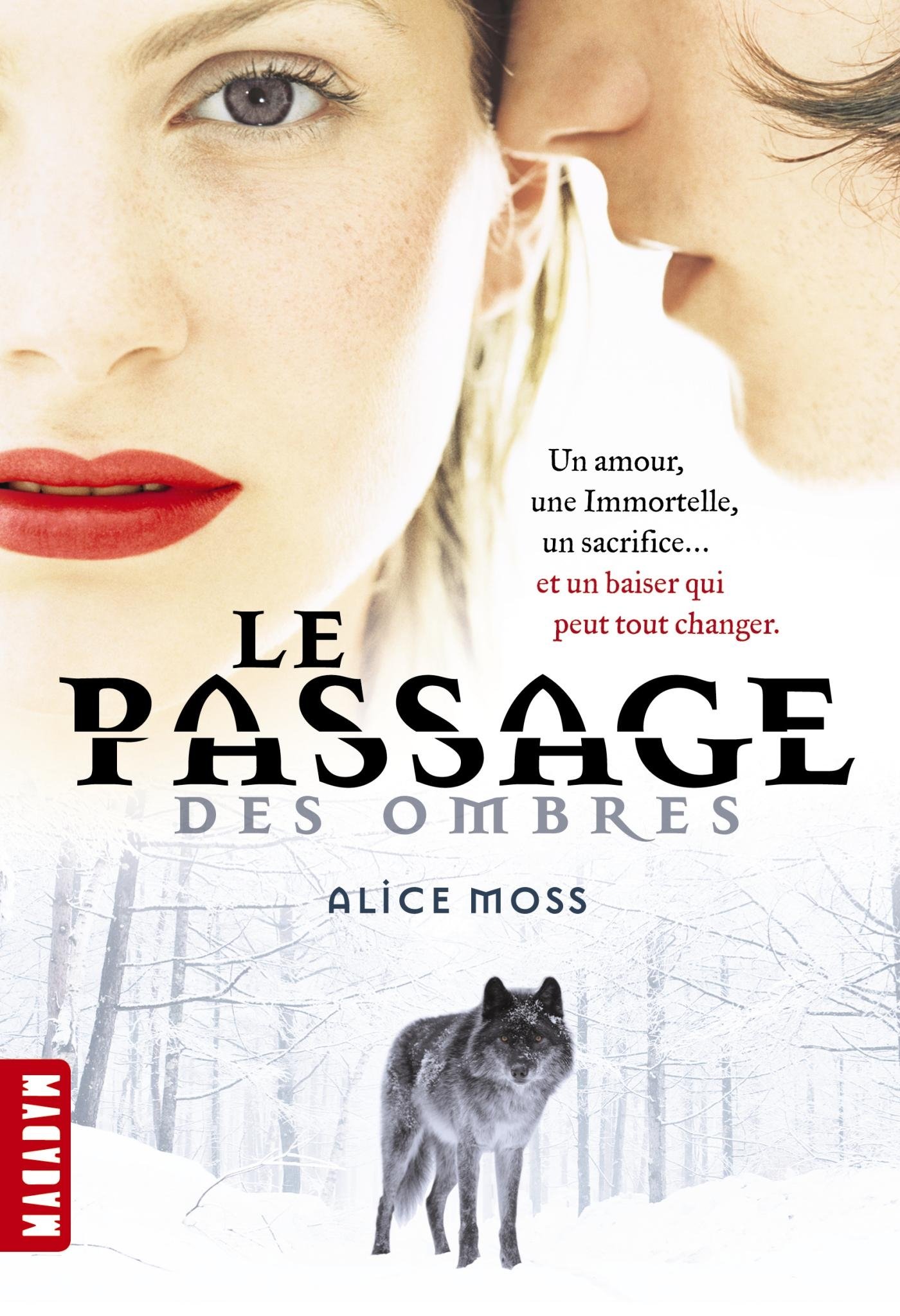 Le Passage Des Ombres