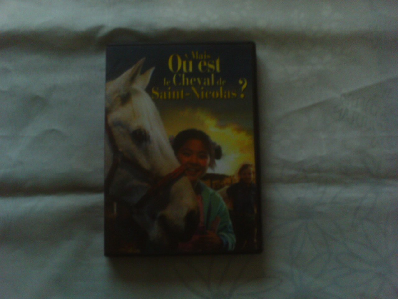 Mais Où Est Le Cheval De Saint-Nicolas ?