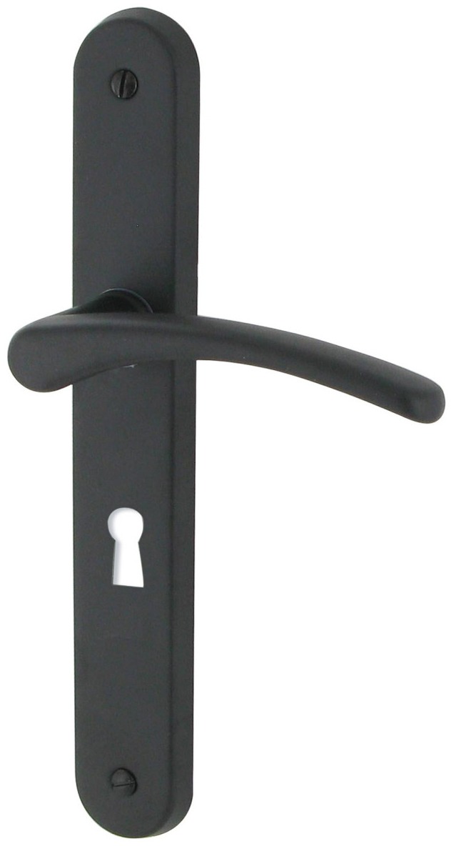 Poignée de porte DT 2000 Cluses noir mat serrure 195 mm