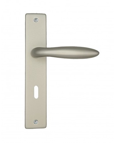 Poignée de porte DT 2000 Nevers serrure 195 mm argent
