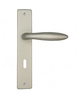 Poignée de porte DT 2000 Nevers serrure 195 mm argent