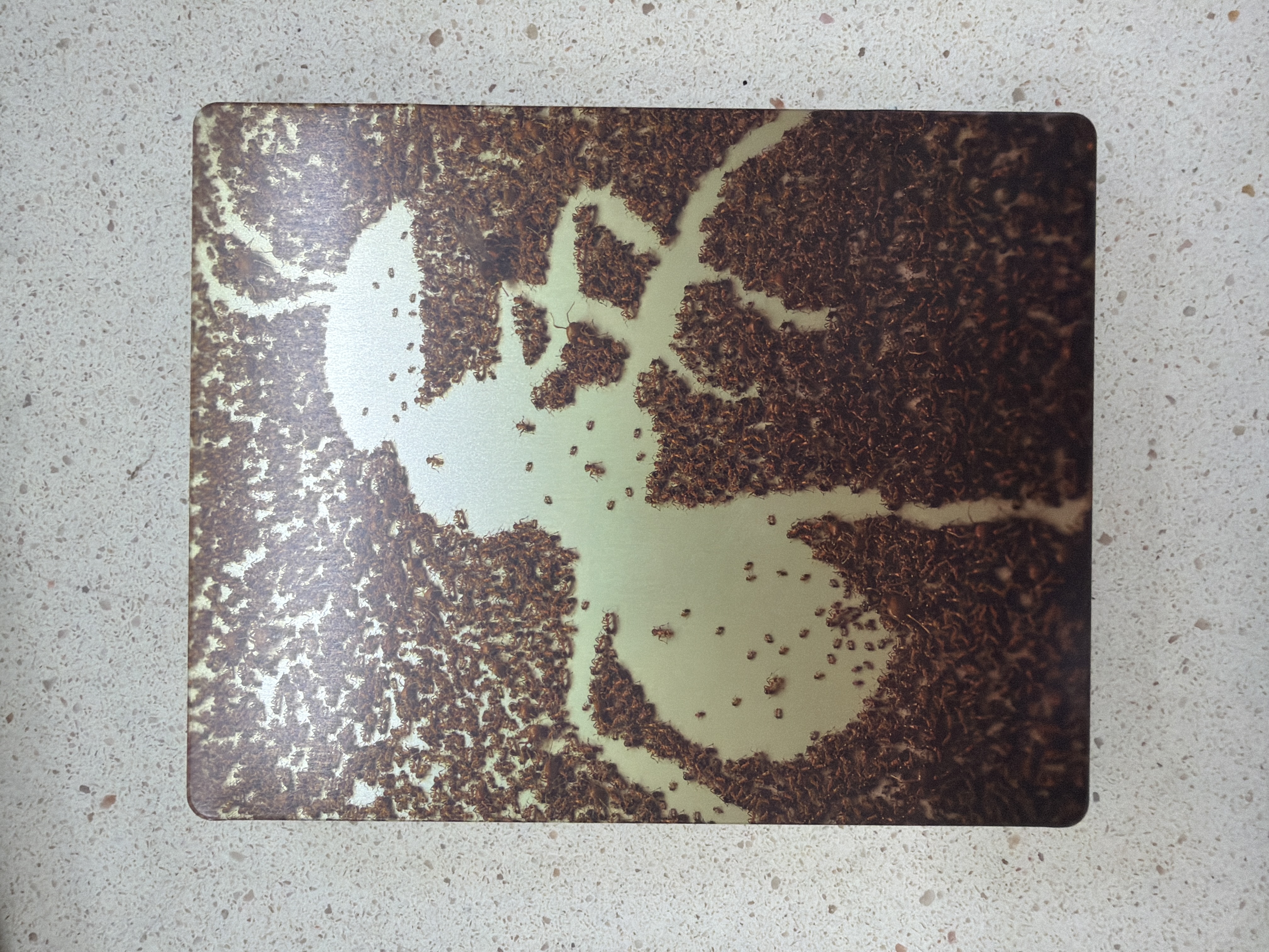Empire of the Ants Édition Limitée Xbox Series X Steelbook — photo 3