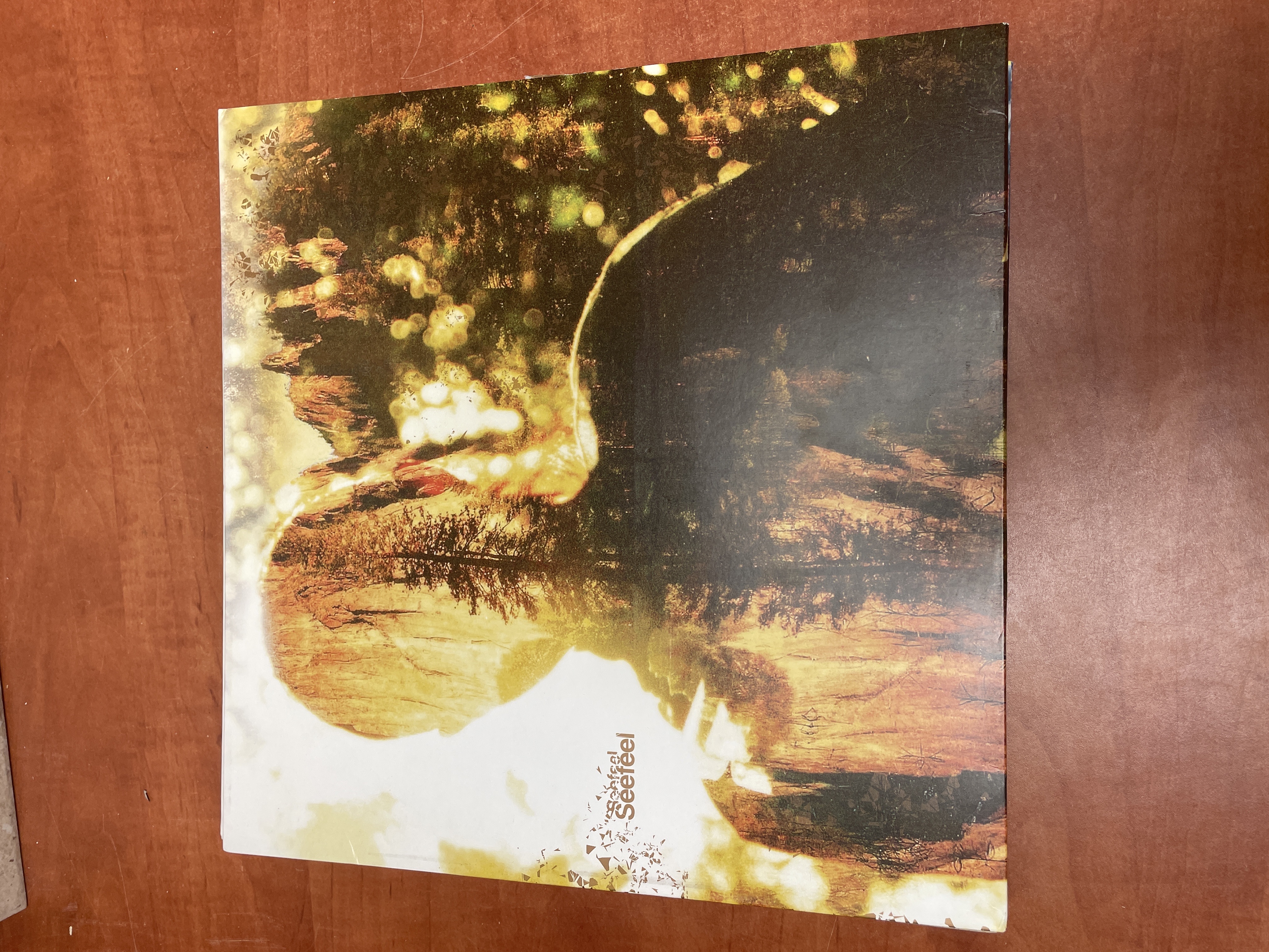 Album Seefeel format carré