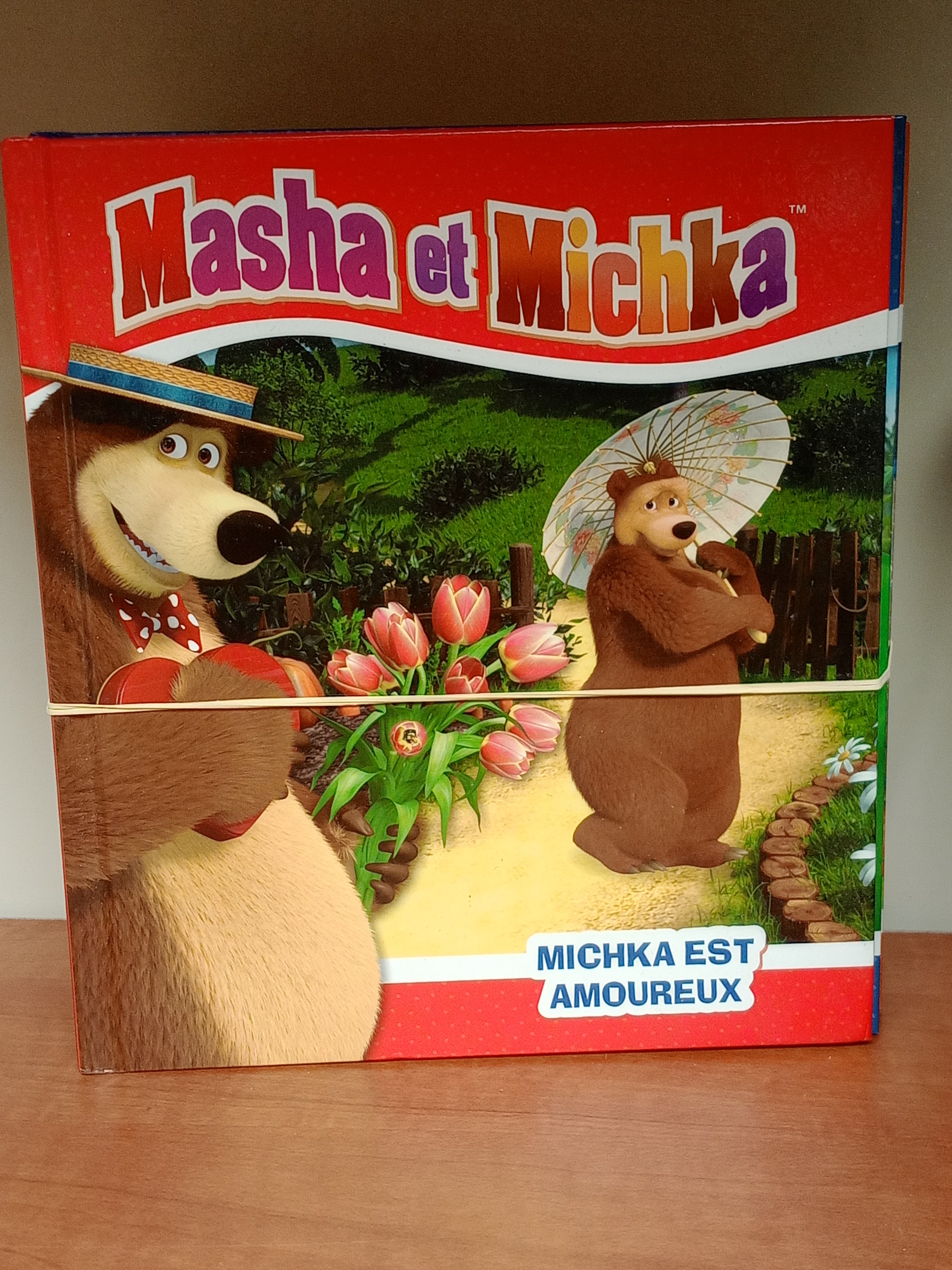 Lot 10 livres Masha et Michka jeunesse