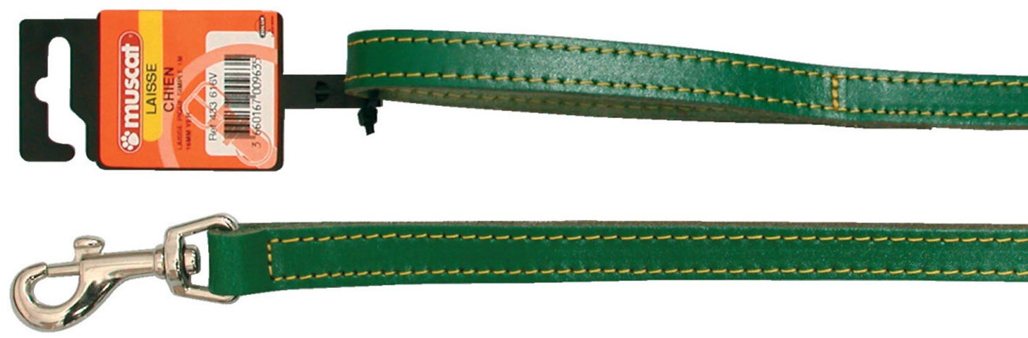 Zolux laisse piquée simple vert croûte 16 mm 1 m