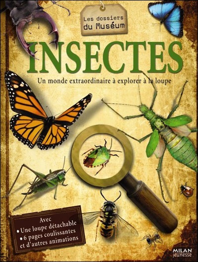 Insectes un monde extraordinaire à explorer à la loupe