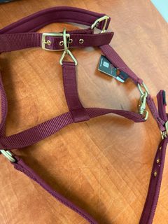 Licol cheval en nylon bordeaux à bouclerie dorée