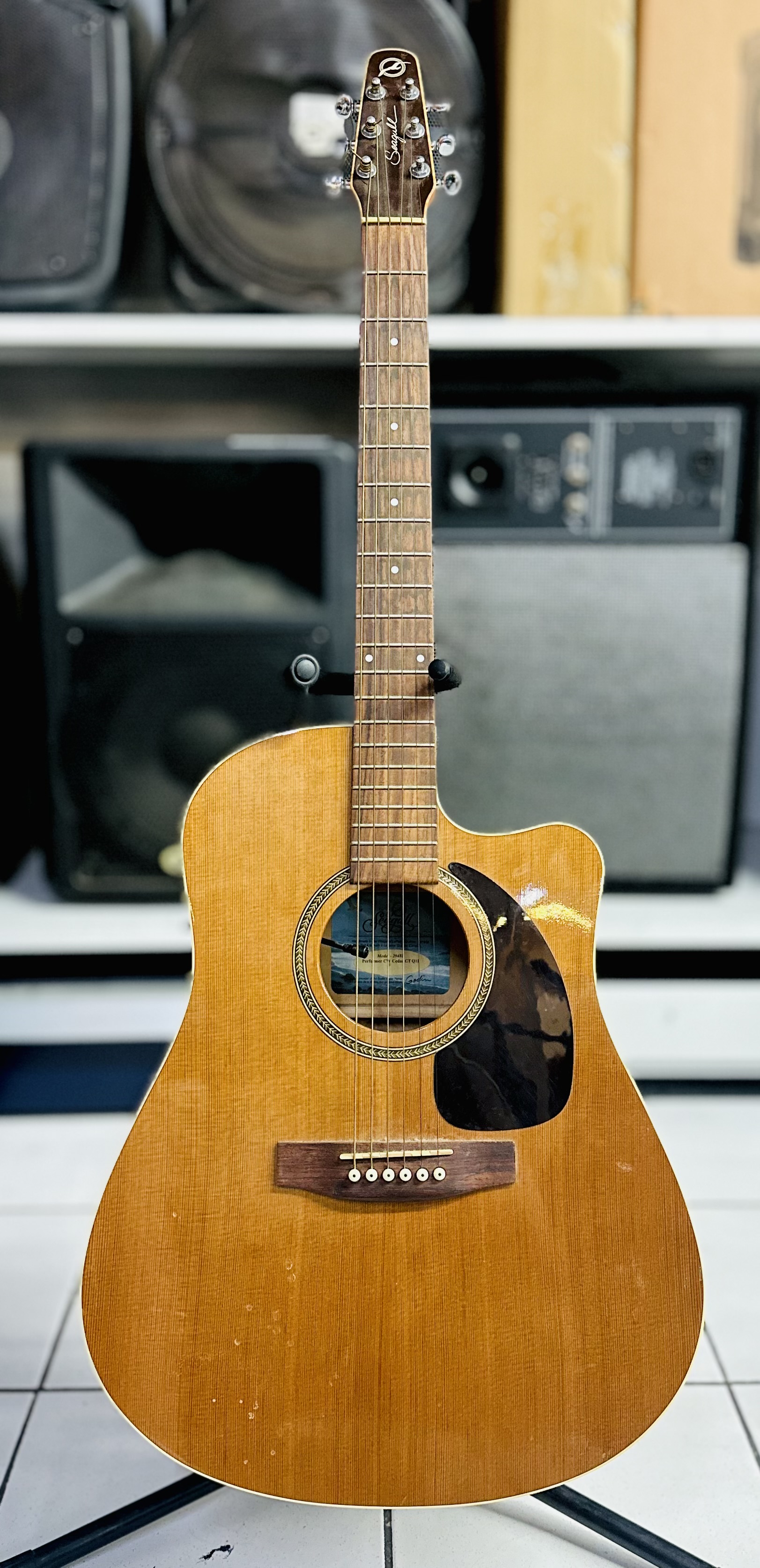 Guitare électro-acoustique Seagull Performer CW Cedar GT Q1I