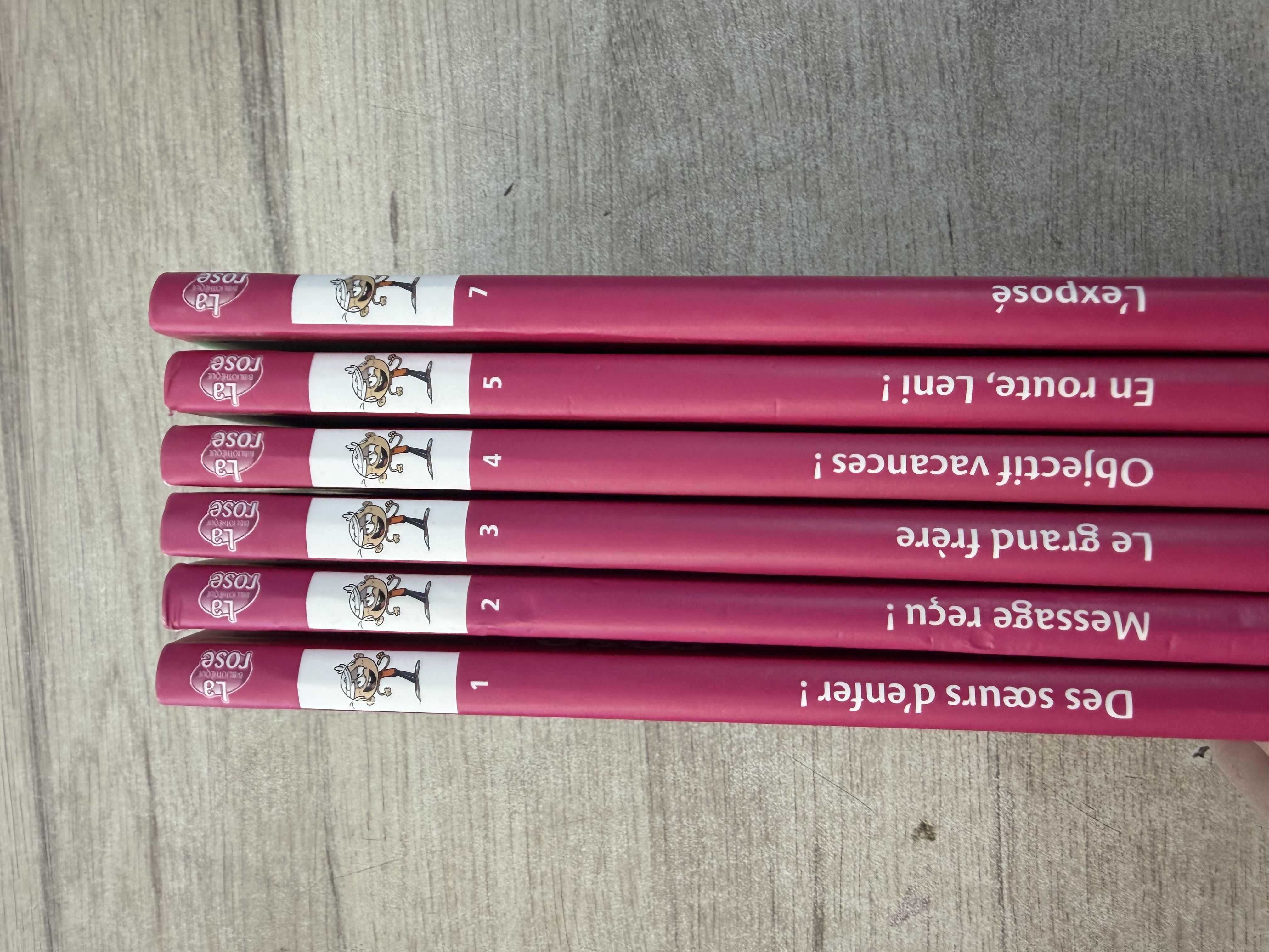 Lot livres Bibliothèque Rose Bienvenue chez les Loud tomes 1 2 3 4 5 et 7 — photo 2