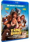 Y a pas de réseau DVD