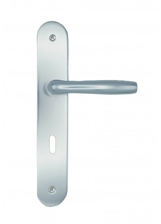Poignées de porte DT2000 Lunel gris carbone serrure 195 mm