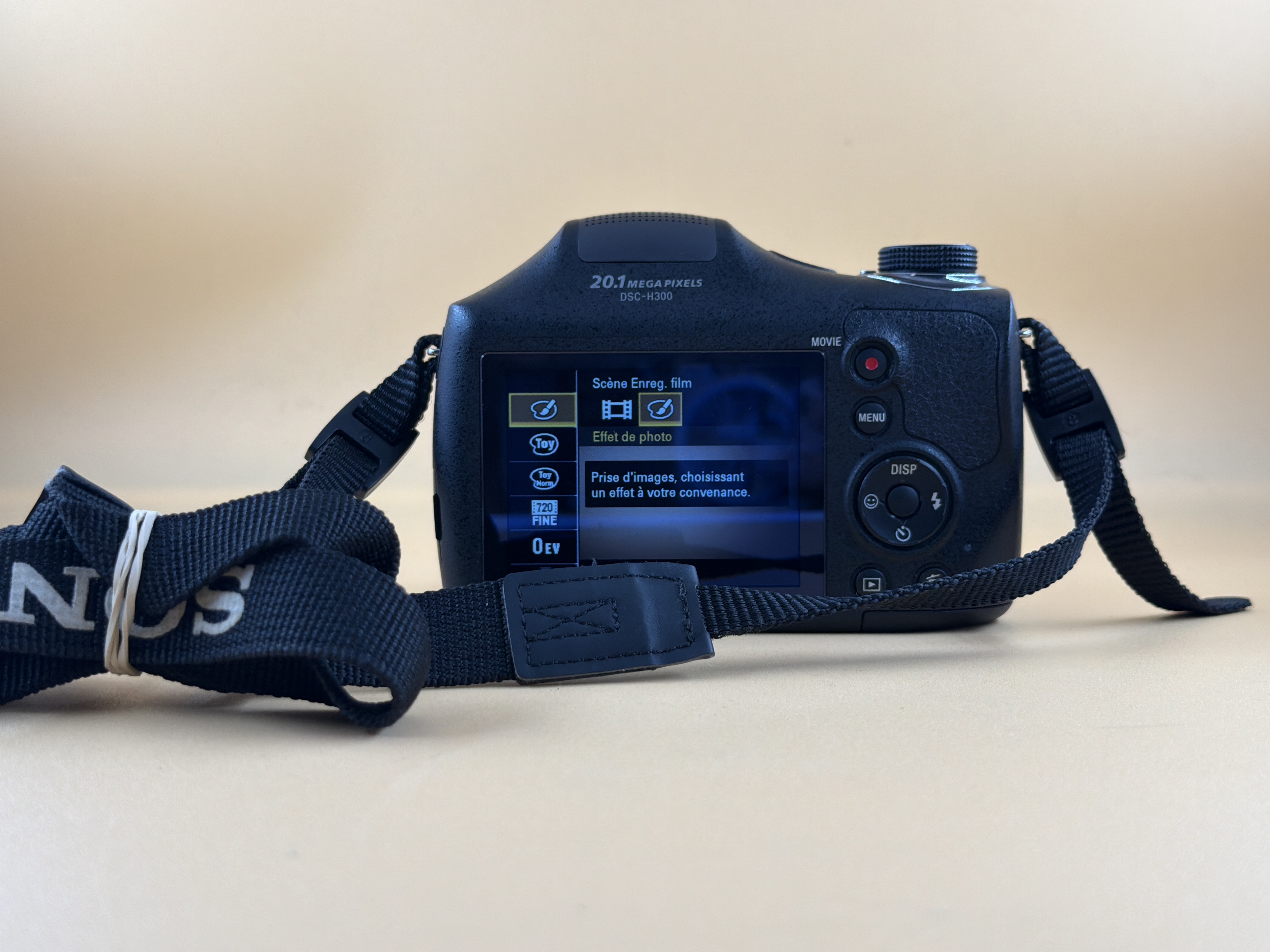 Appareil photo bridge Sony Cyber-shot DSC-H300 zoom optique 35x — photo 2