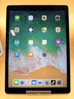 Apple iPad Pro 12,9 pouces 1re génération 128 Go Wi‑Fi + Cellular avec problèmes
