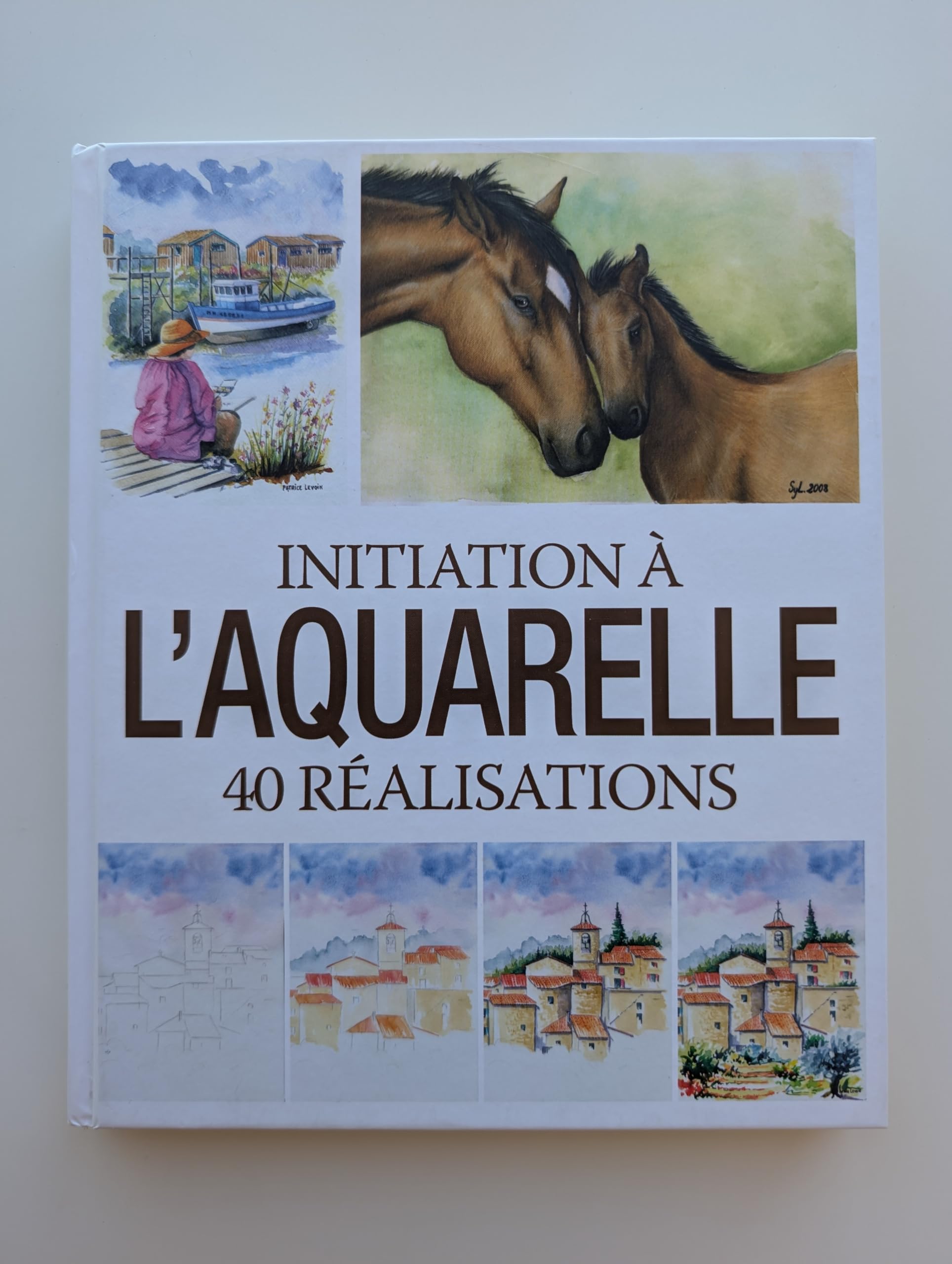 Initiation À L'aquarelle - 40 Réalisations