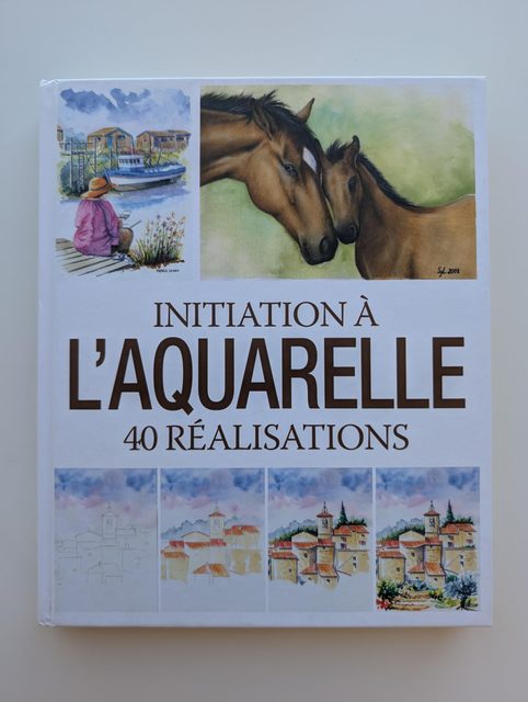 Initiation À L'aquarelle - 40 Réalisations