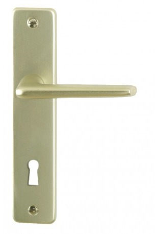 Poignée de porte DT 2000 Gets aluminium champagne 165 mm