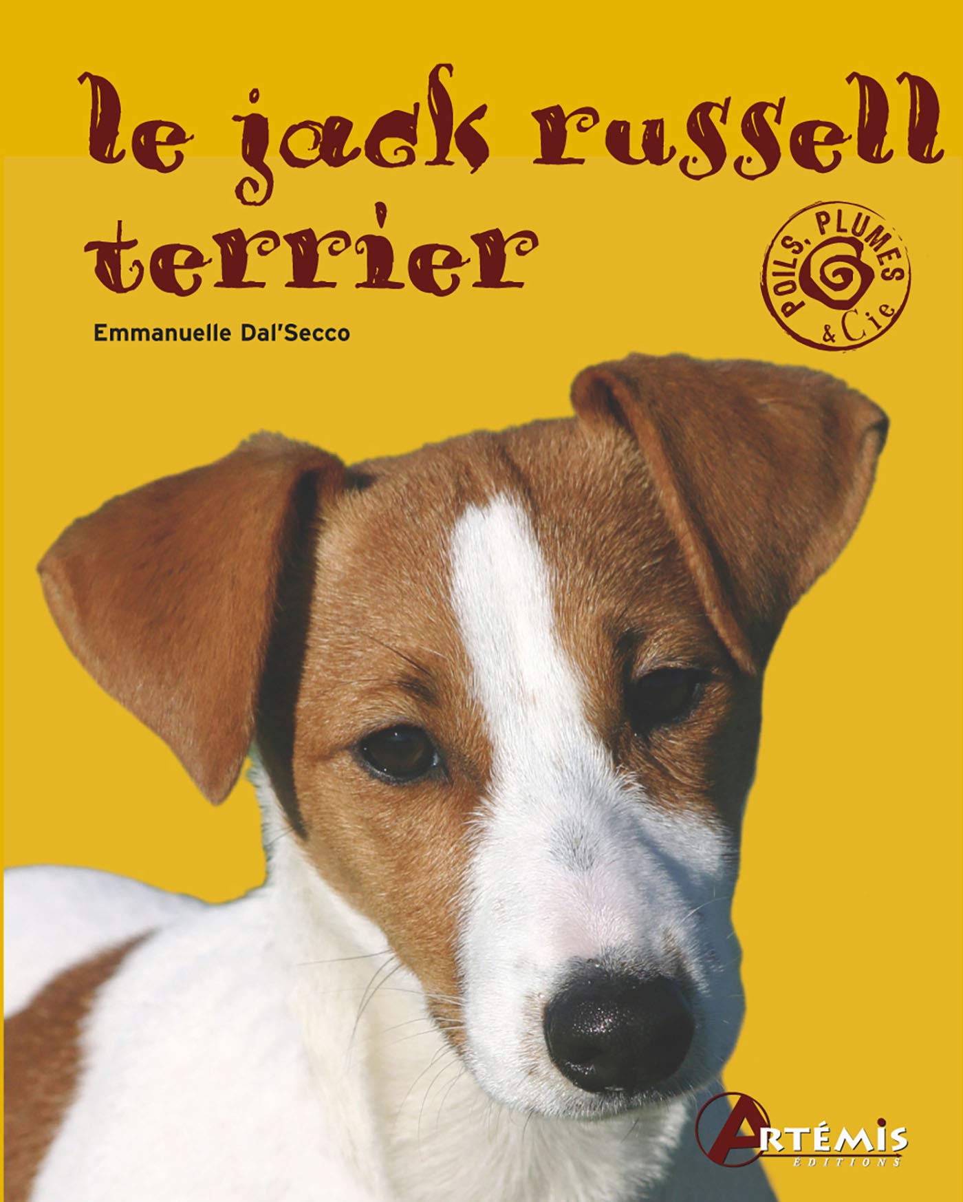 Le Jack Russel Terrier