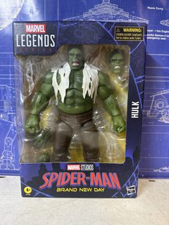 Figurine Hasbro Marvel Legends Hulk Spider-Man Brand New Day