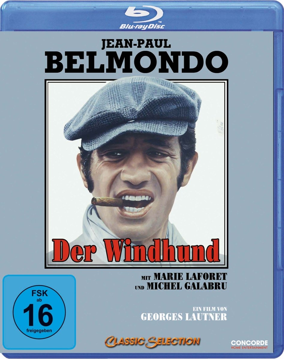 Der Windhund