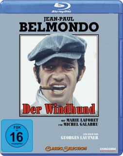 Der Windhund