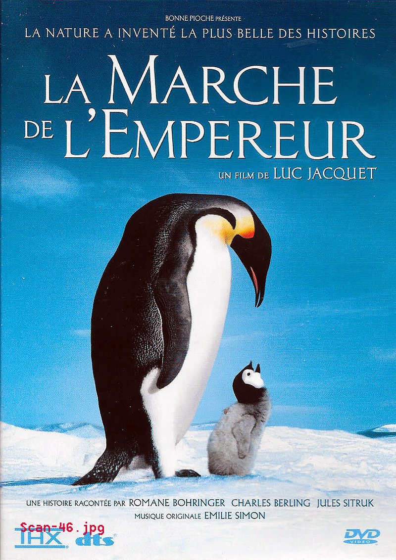 La Marche De L'empereur - La Nature A Inventé La Plus Belle Des Histoires