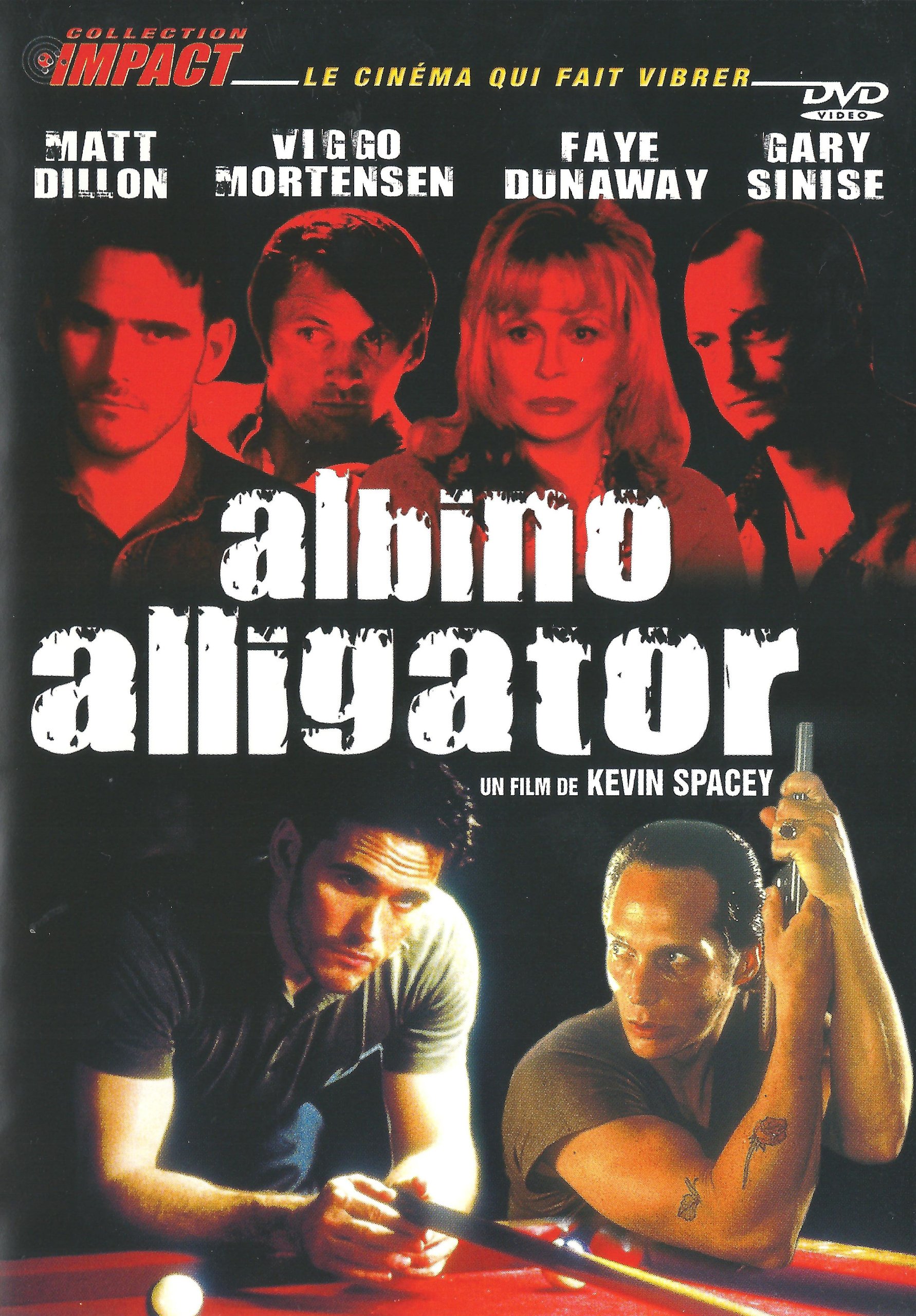 Albino Alligator