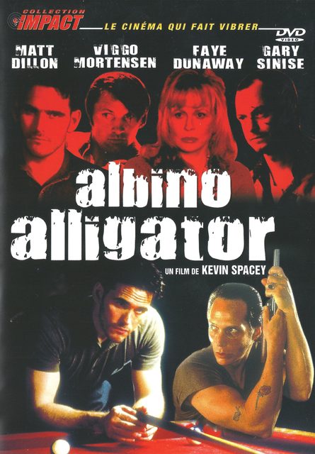 Albino Alligator