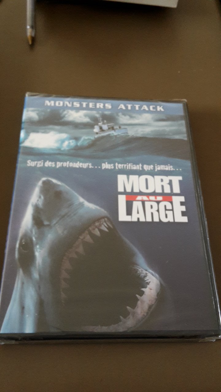 Mort Au Large