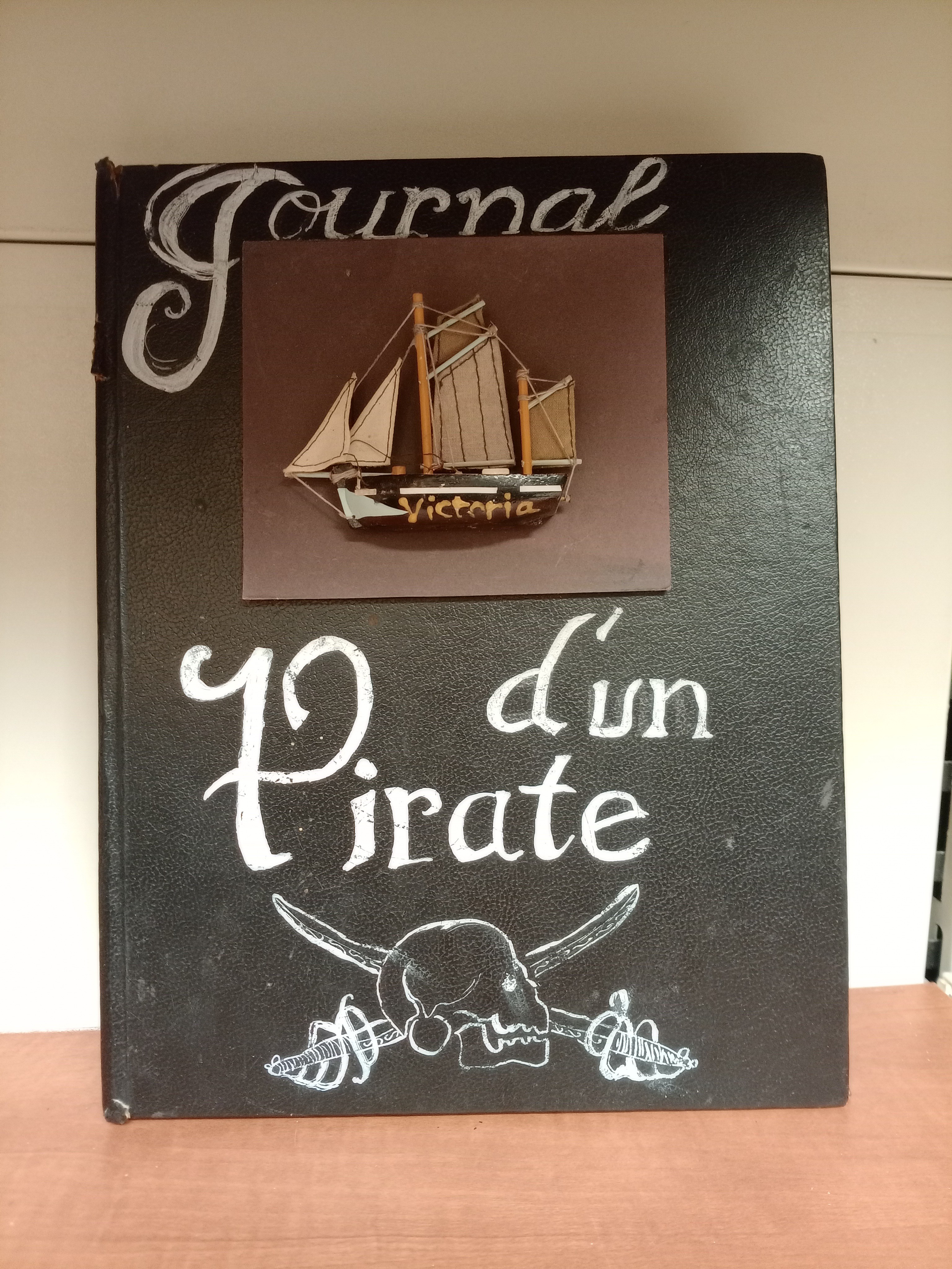 Journal d'un pirate