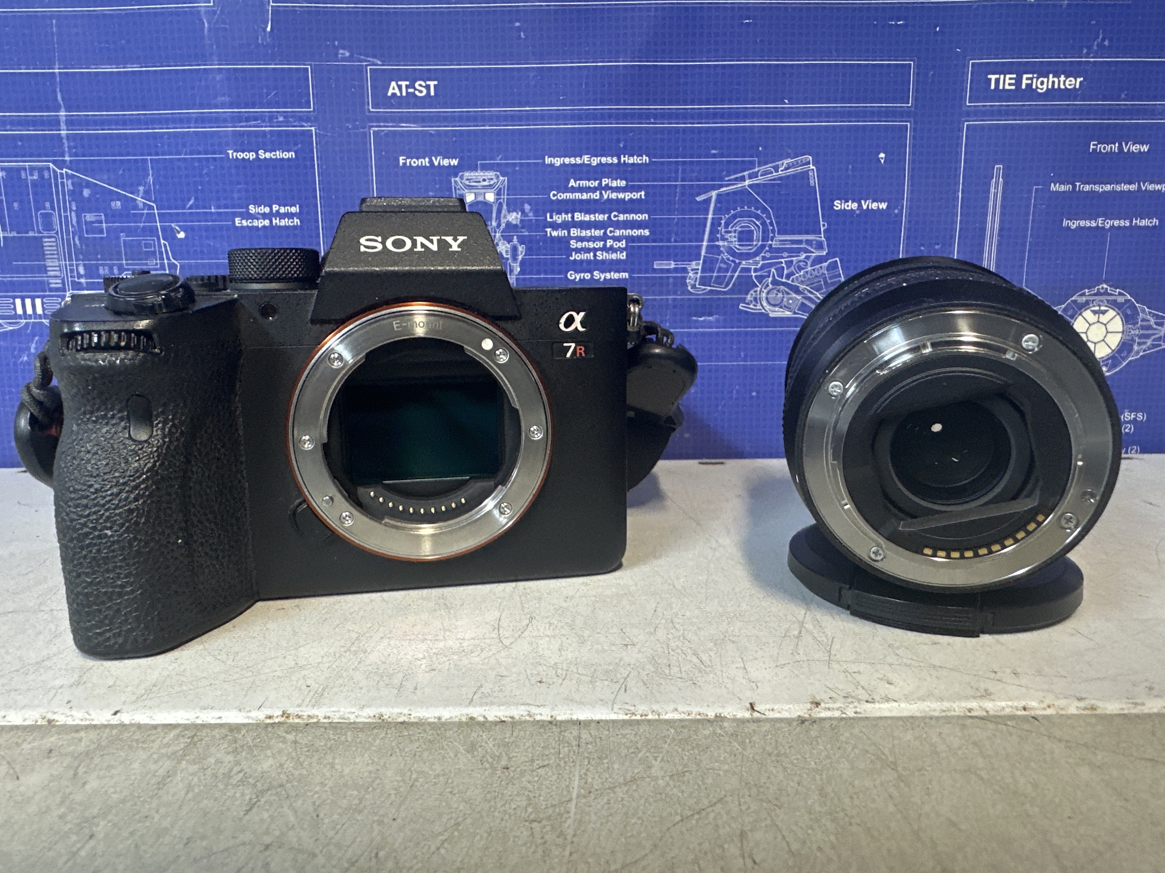 Sony Alpha 7R IV + objectif FE 20 mm f/1.8 G — photo 2