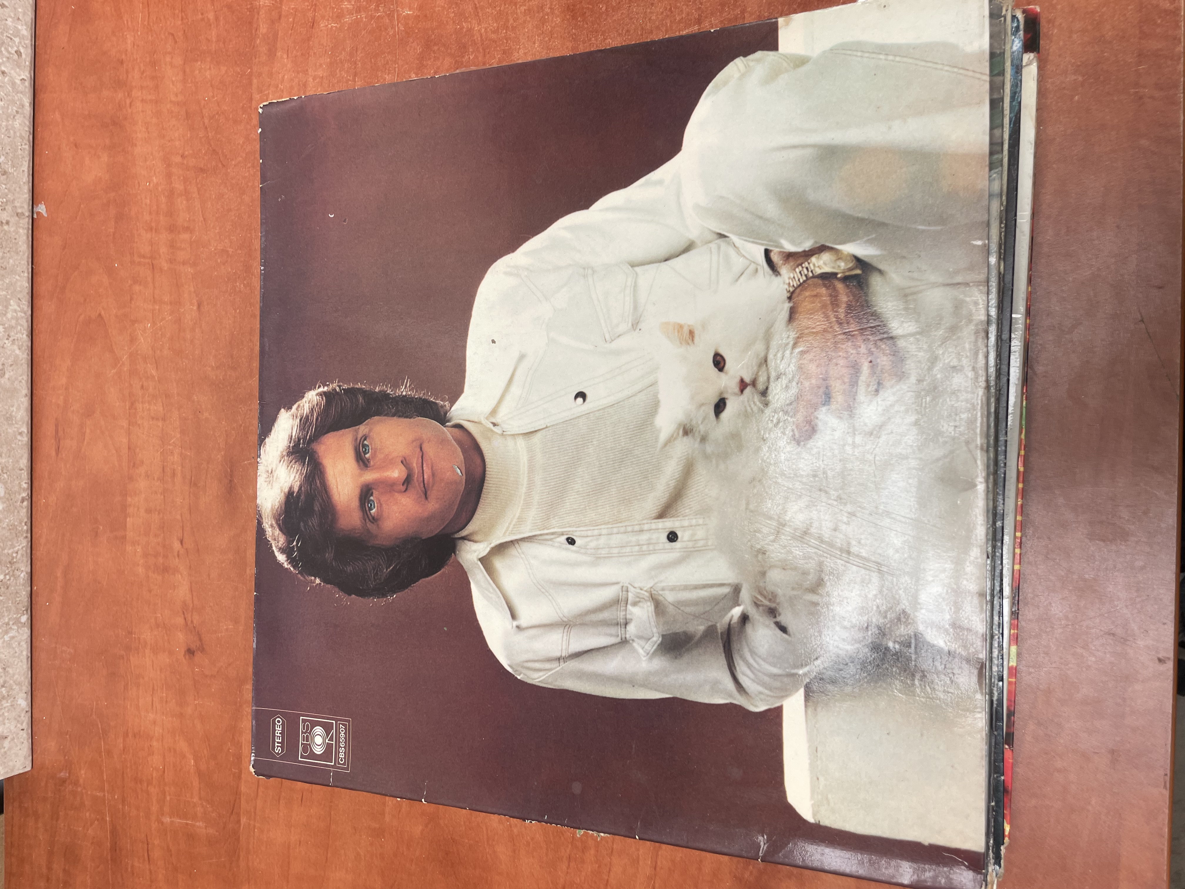 Disque vinyle 33 tours CBS
