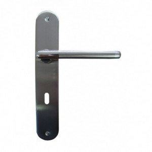 Poignée de porte DT 2000 Floride serrure 195 mm