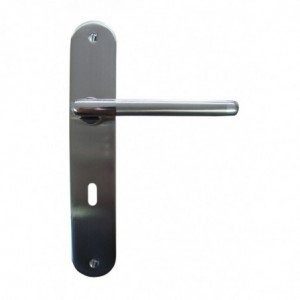 Poignée de porte DT 2000 Floride serrure 195 mm