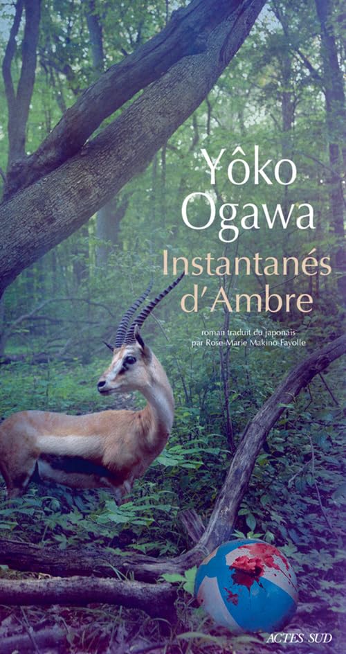 Instantanés D'ambre